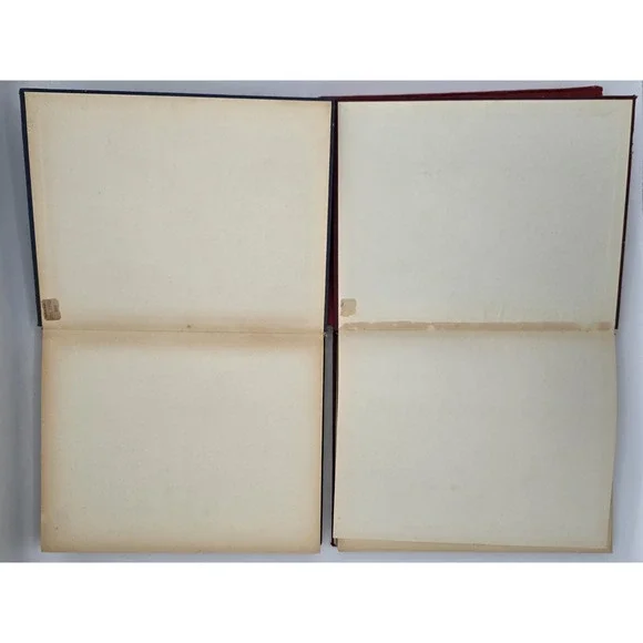 3 Lot Istituto Italiano D'Arti Grafiche Books - Bramante, Giambellino, Giorgione - Picture 3 of 16